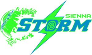 storm logo storm logo